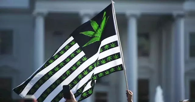 Booming rally in marijuana stocks like Tilray could get another boost from midterm elections