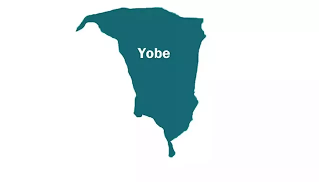 Yobe market fire razes stores, destroys goods - Punch Newspapers