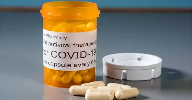 Anti-viral Covid pills should be made available to cancer patients, charity says | Business Post