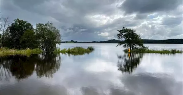 Experts warn Ireland’s carbon budgets do not go far enough | Business Post