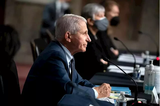 Fauci’s Answer To Allegations Show Why Companies Should Respond To Crisis-Related Charges