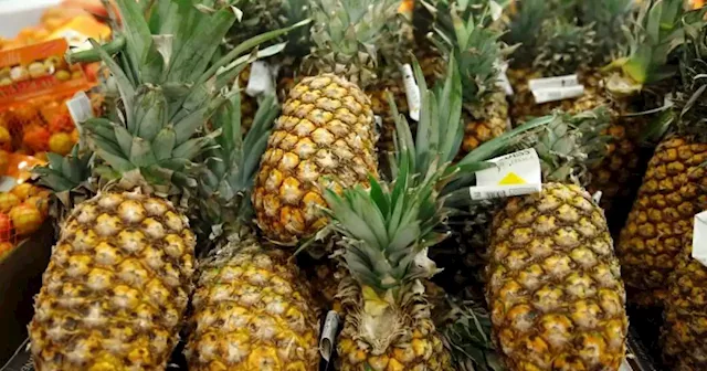 Malaysian Pineapple Industry Board: 90pc of pineapple entrepreneurs exit B40 group | Malay Mail