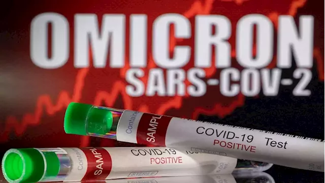 Future coronavirus variants could be much weaker than Omicron: Prof Karim - SABC News - Breaking news, special reports, world, business, sport coverage of all South African current events. Africa's news leader.