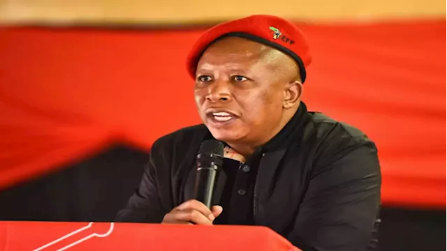 No one in SA should be forced to take vaccine against their will: Malema - SABC News - Breaking news, special reports, world, business, sport coverage of all South African current events. Africa's news leader.