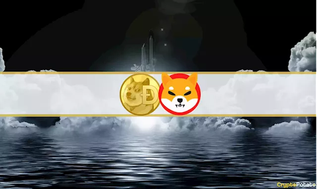 Market Watch: Shiba Inu and Dogecoin Explode 13%, Bitcoin Eyes $44K