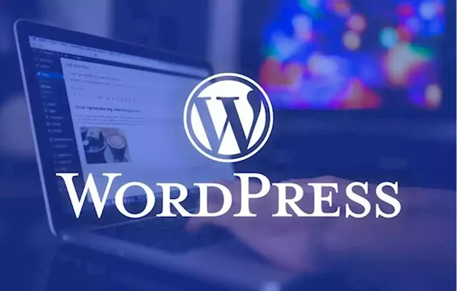 Opportunities Abound for Business Owners with WordPress