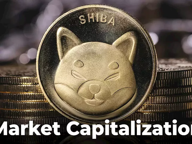 Shiba Inu Surpasses MATIC in Market Capitalization After 23% Rise