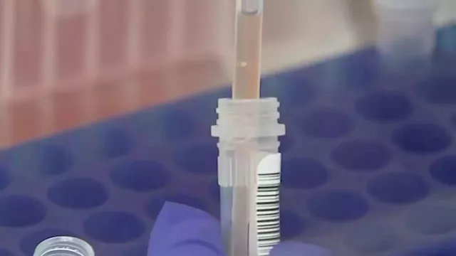 Local company warns consumers about purchasing fake negative COVID-19 PCR test results