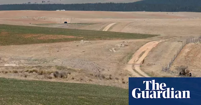 Company part-owned by Angus Taylor challenges ‘critically endangered’ listing of grasslands it poisoned