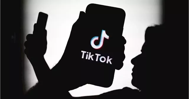 TikTok made overtures to government on watering down EU tech rules | Business Post