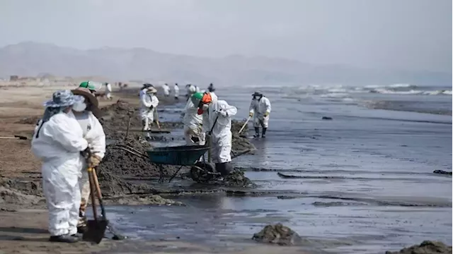 Peru says oil spill caused by Tonga waves is an 'ecological disaster' - SABC News - Breaking news, special reports, world, business, sport coverage of all South African current events. Africa's news leader.