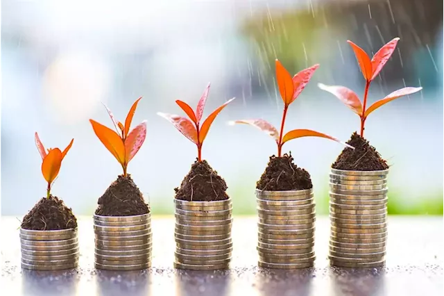 7 questions to ask if you want to green your investment portfolio | Fin24