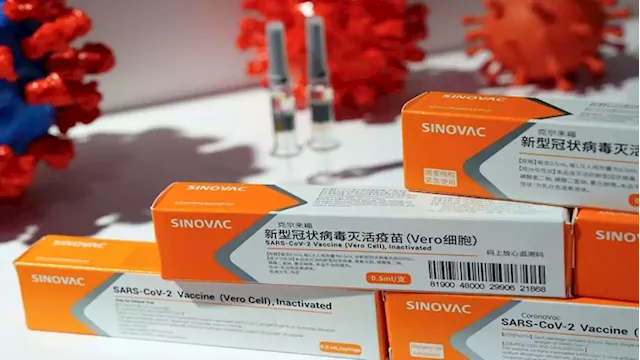 Brazil's Health Ministry approves China's Sinovac shot for some children - SABC News - Breaking news, special reports, world, business, sport coverage of all South African current events. Africa's news leader.