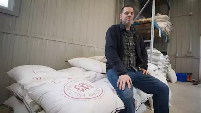 Weird weather, supply chain issues brew up business for Ontario's barley growers | CBC News