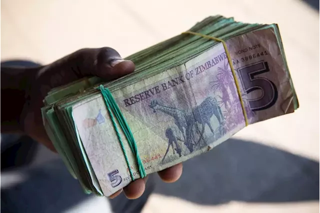 Zimbabwe central bank, business explore way to halt currency plunge | Fin24