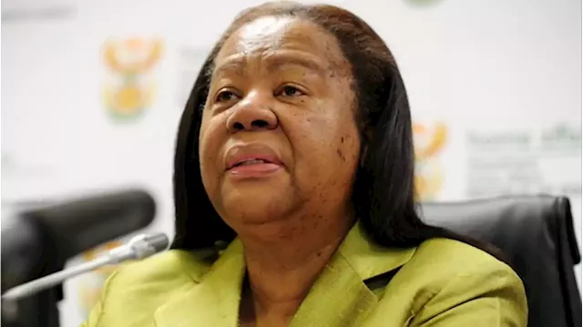 South Africa on the path to fixing its immigration laws: Minister Pandor - SABC News - Breaking news, special reports, world, business, sport coverage of all South African current events. Africa's news leader.