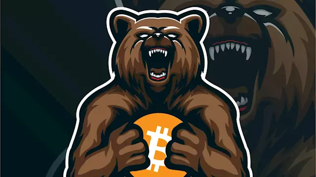 78 Days: Measuring the Extended Crypto Market Downturn Against Prior Bear Markets – Featured Bitcoin News