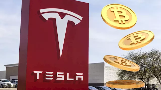 Tesla's Latest Financial Statement Shows Bitcoin Worth $1.26 Billion – Finance Bitcoin News