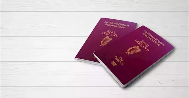 Irish woman sues state over passport refusal for two sons | Business Post