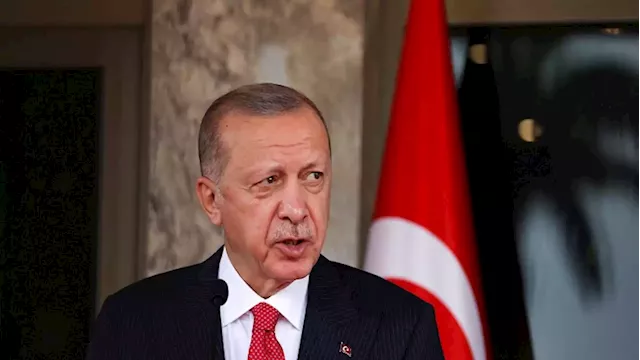 Turkey's Erdogan says Russia would be unwise to invade Ukraine - SABC News - Breaking news, special reports, world, business, sport coverage of all South African current events. Africa's news leader.