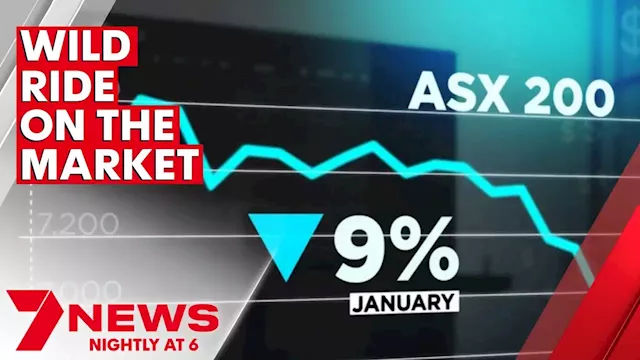 Australian share market bounces back from a day of losses | 7NEWS