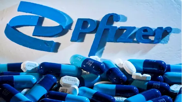 EU drug regulator gives green light to Pfizer COVID pill for high-risk patients - SABC News - Breaking news, special reports, world, business, sport coverage of all South African current events. Africa's news leader.