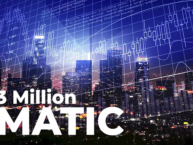 3 Million MATIC Tokens Bought by Whale Amid Market Decline