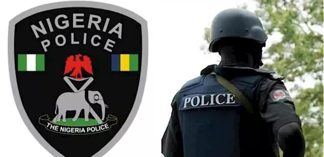 Gombe police nab 109 persons for illegal business, entry into Nigeria - Punch Newspapers