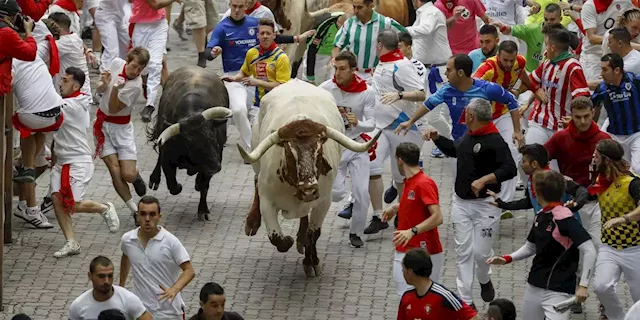 Why the bull market will stay alive in 2022 --- plus 8 cheap stocks for your money now