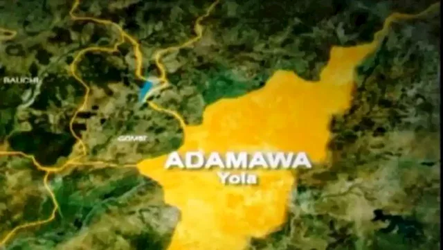 Army shuts down Adamawa market used as Boko Haram trading hub