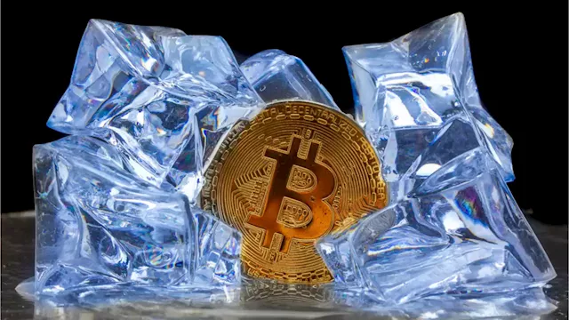 Mid-Way Cool Down: Analysts Believe Bitcoin Price Cycle Is Incomplete, Trader Says BTC’s 'Next Move Should Be Cycle's Top' – Market Updates Bitcoin News