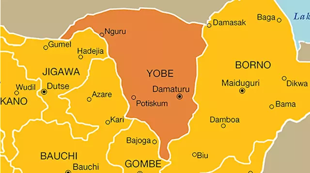 '300 shops' destroyed as fire guts Yobe market | TheCable