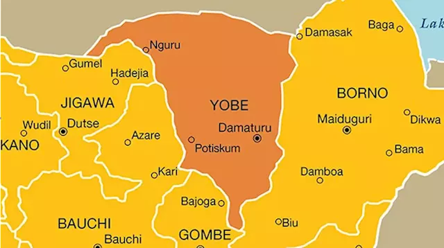 '300 shops' destroyed as fire guts Yobe market | TheCable