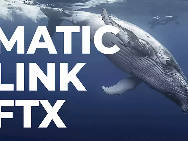 Top ETH Whales Grab MATIC, LINK, FTX as Market Remains in Decline