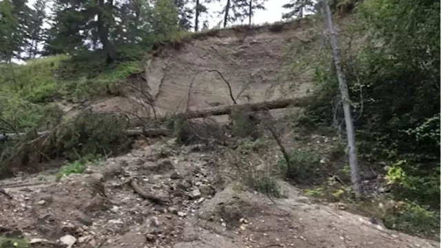 B.C. forestry company followed rules but could have done more to prevent landslides, says independent watchdog | CBC News