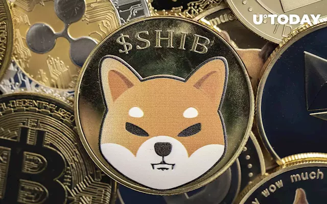 Shiba Inu’s Performance Indicates “Brutal” Bear Market, Bloomberg Analyst Says