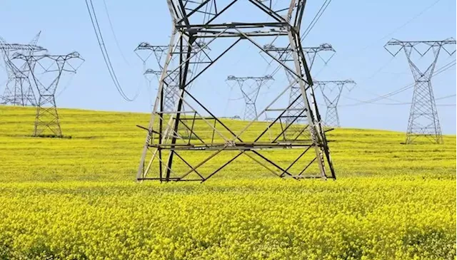 Eskom working on ensuring sustainable power supply to agricultural sector: COO - SABC News - Breaking news, special reports, world, business, sport coverage of all South African current events. Africa's news leader.