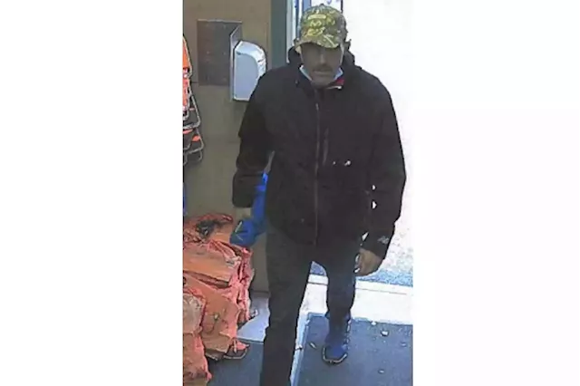 Police investigating theft from business in Mobile | SaltWire