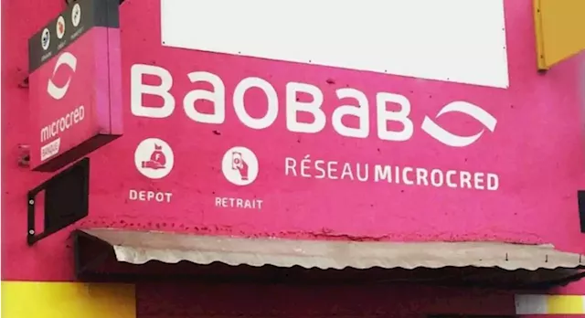 Baobab begins aggressive campaign to grow Nigeria’s market | The Guardian Nigeria News - Nigeria and World News