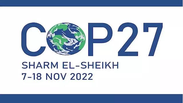 COP 27: It's all going to be about climate finance - SABC News - Breaking news, special reports, world, business, sport coverage of all South African current events. Africa's news leader.