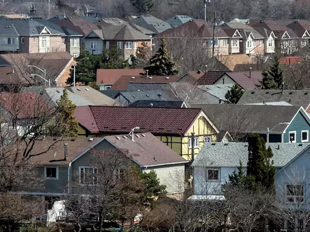 '$1M tool sheds are the future': Inside the thoughts of Canada’s overheated housing market