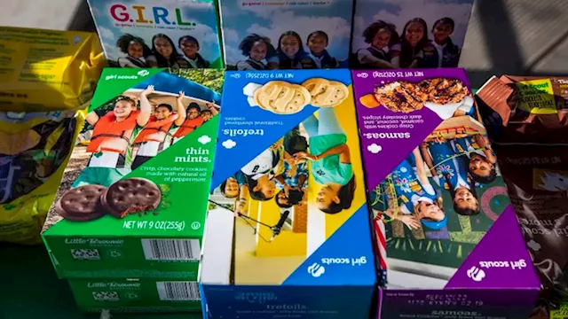 Girl Scouts of the USA receive largest ever donation from single donor | CNN Business