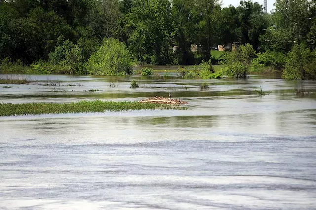 Pearl man pleads guilty as feds tackle biofuel business for illegal dumping