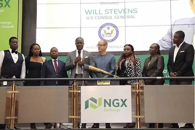 Nigerian stocks halt run of big slides as sell-offs in mega-cap shares ease