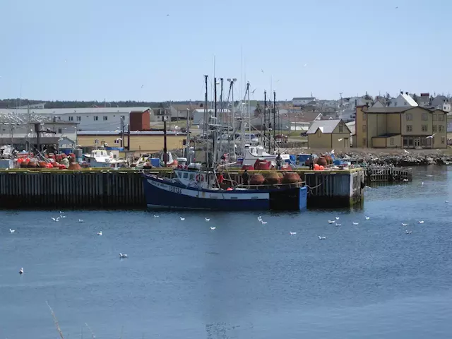 LETTER: Fishing industry Collective Bargaining Act review must be taken seriously if we value N.L.'s inshore fishery | SaltWire