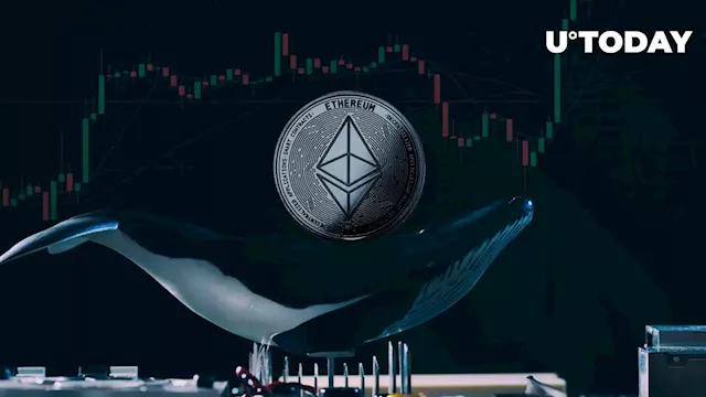 Here's What Ethereum Whales Purchase Massively To Protect From Bear Market