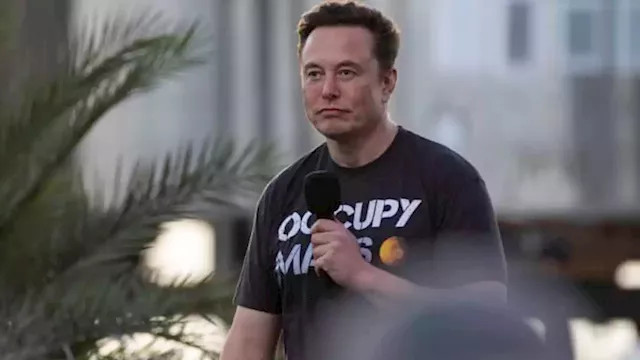 Bernstein says Musk was 'curt' and 'almost dismissive' on earnings call, sees stock dropping nearly 30%