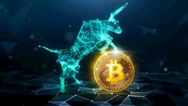 Investment Strategist Discusses Bitcoin 'Entering Unstoppable Maturation Stage' — Says Price Should Continue to Rise – Markets and Prices Bitcoin News