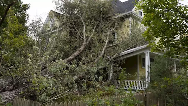 Insurance industry recommends climate risk score for houses - BNN Bloomberg