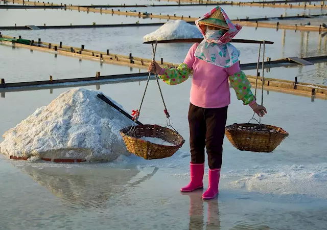 What led to the demise of the Philippine salt industry, and what needs to be done